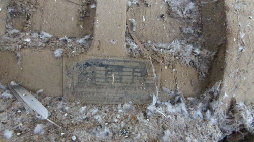 PXL 20231010 051741726.jpg