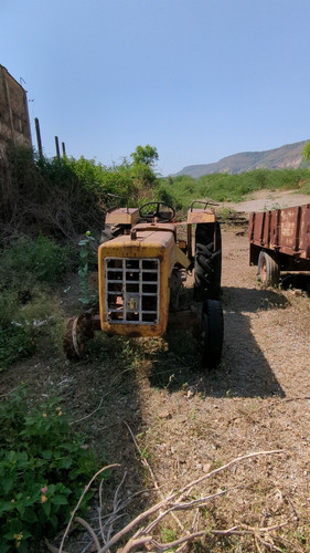 PXL 20231010 051542037.jpg