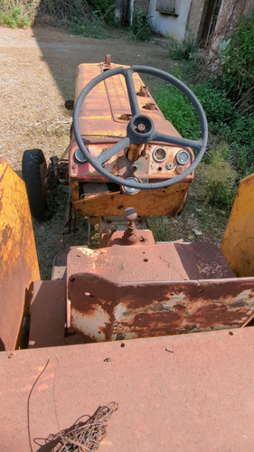 PXL 20231010 051600524.jpg