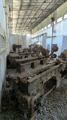 PXL 20231010 051850316.jpg
