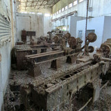 PXL 20231010 051850316