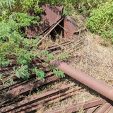 PXL 20231010 051437510