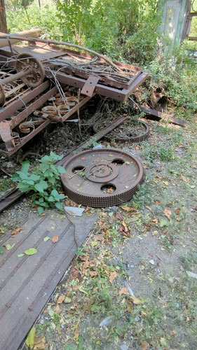 PXL 20231010 051046690.jpg