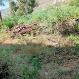 PXL 20231010 051146042