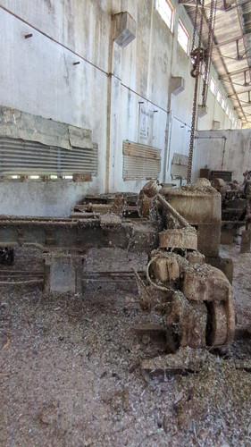 PXL 20231010 051831550.jpg