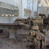 PXL 20231010 051831550