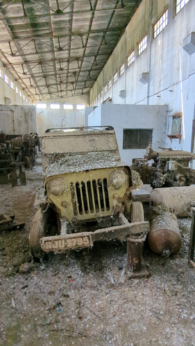 PXL 20231010 051628448.jpg