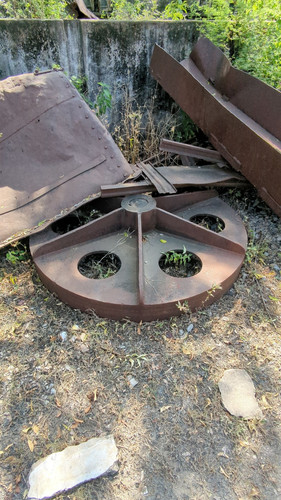 PXL 20231010 051356557.jpg