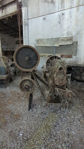 PXL 20231010 051936142.jpg