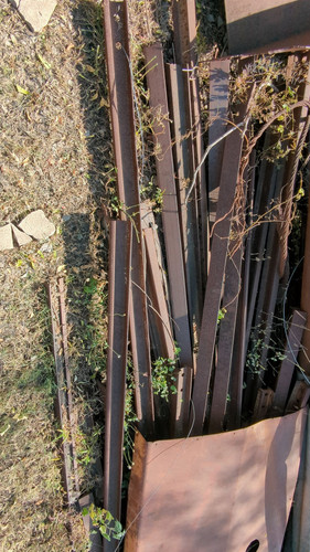 PXL 20231010 051405494.jpg