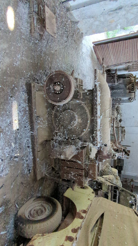 PXL 20231010 051949430.jpg