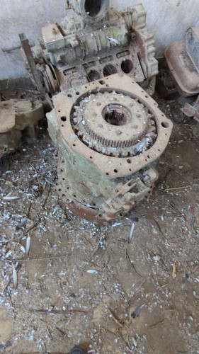 PXL 20231010 052430673.jpg