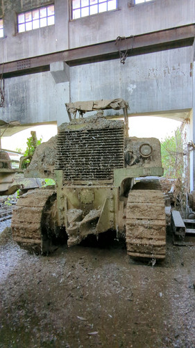 PXL 20231010 052115998.jpg