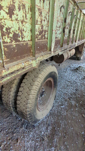 PXL 20231010 052513225.jpg