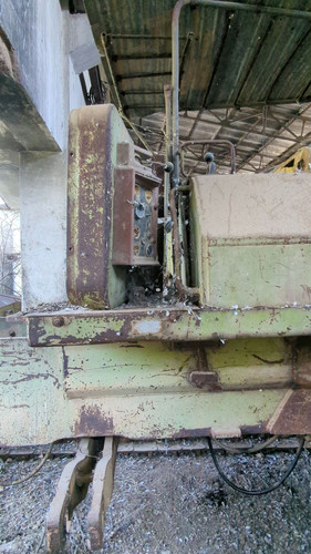 PXL 20231010 052320105.jpg