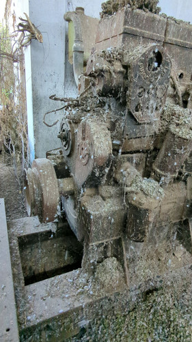 PXL 20231010 052102315.jpg
