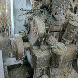 PXL 20231010 052102315