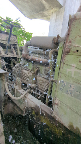 PXL 20231010 052419176.jpg