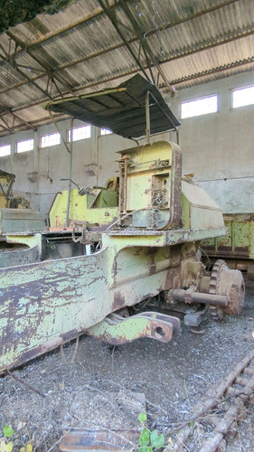 PXL 20231010 052331325.jpg