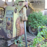 PXL 20231010 052239027