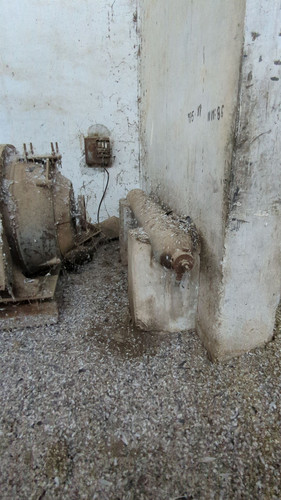 PXL 20231010 052532089.jpg
