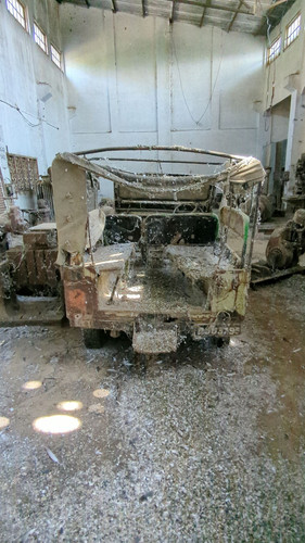 PXL 20231010 051941598.jpg