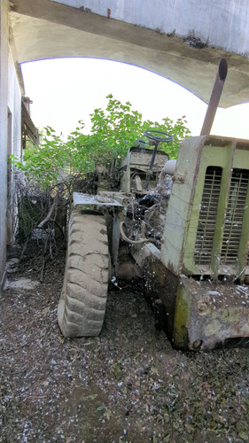 PXL 20231010 052406871.jpg