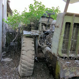 PXL 20231010 052406871