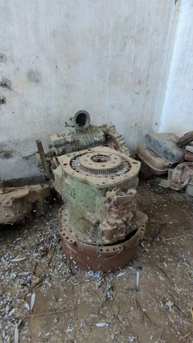 PXL 20231010 052428396.jpg