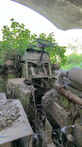 PXL 20231010 052413257.jpg
