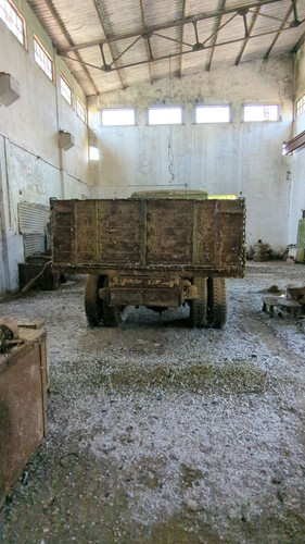 PXL 20231010 052520449.jpg