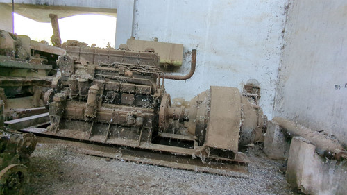 PXL 20231010 052049419.jpg