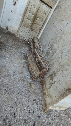 PXL 20231010 052028098.jpg
