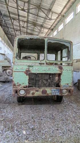 PXL 20231010 052456189.jpg