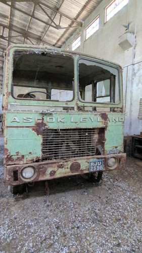 PXL 20231010 052459705.jpg