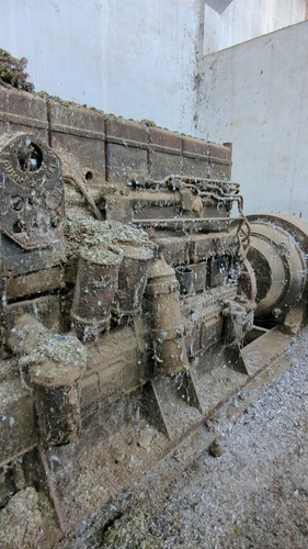 PXL 20231010 052104523.jpg