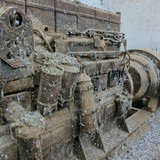 PXL 20231010 052104523