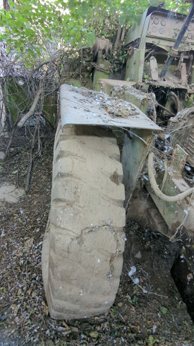 PXL 20231010 052416110.jpg