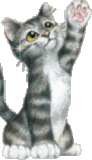 oie overlay (2).gif