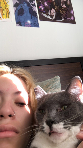 IMG 3331.jpg