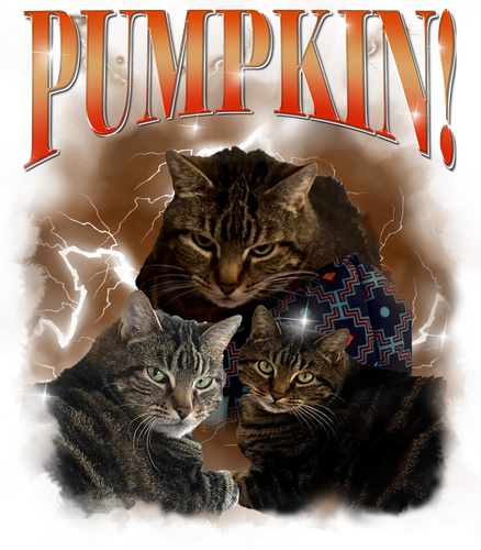pumpkin orange.png