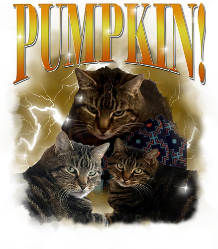 pumpkin.png