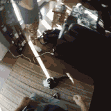 fly.gif
