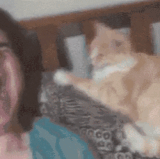 yawn2.gif