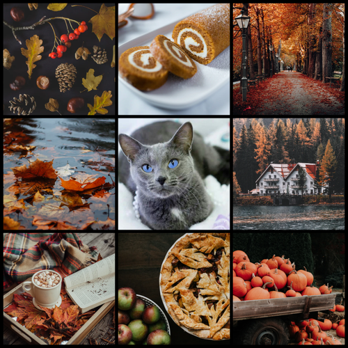 ABC21118 D925 4ABC A677 D45C563C7E6C.png
