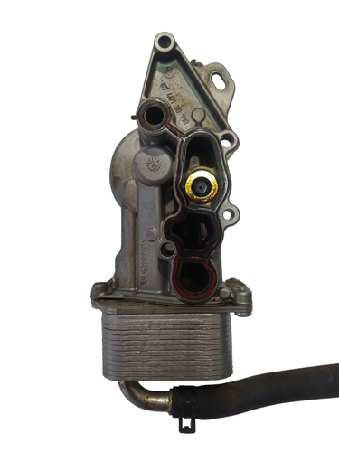 PhotoRoom 20231025 084844.png