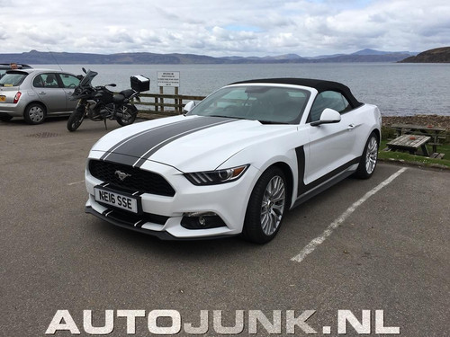 ford mustang cabrio 194474 01.jpg