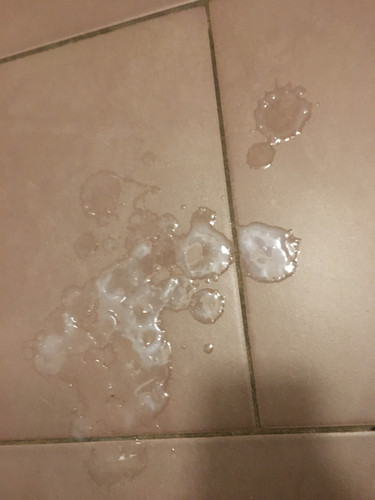 6BE83D7D AAAE 43AE B3CB 14633A78A01C.jpg