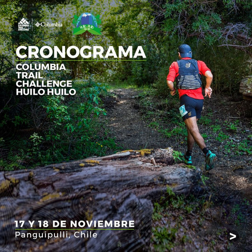 376251861 809090874559699 2534483097511631779 n.jpg