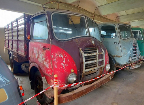 290355405 1397305650680548 274265399843038218 n.jpg